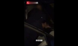 黑天鹅内鬼爆料视频,内鬼爆料视频深度解析